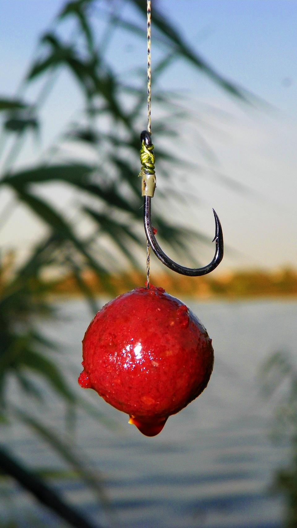 Boiliesmania - 2011 - 1000255.JPG